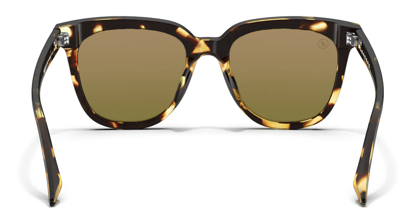 Wildcat Love - Image 5